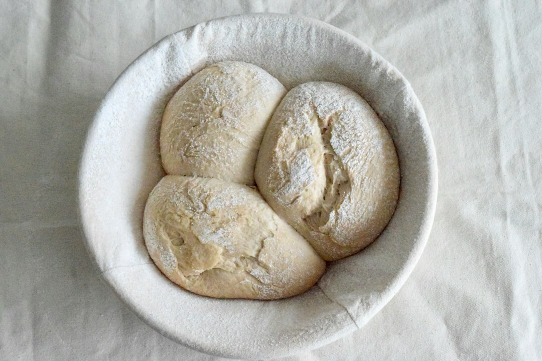 bread dough rising